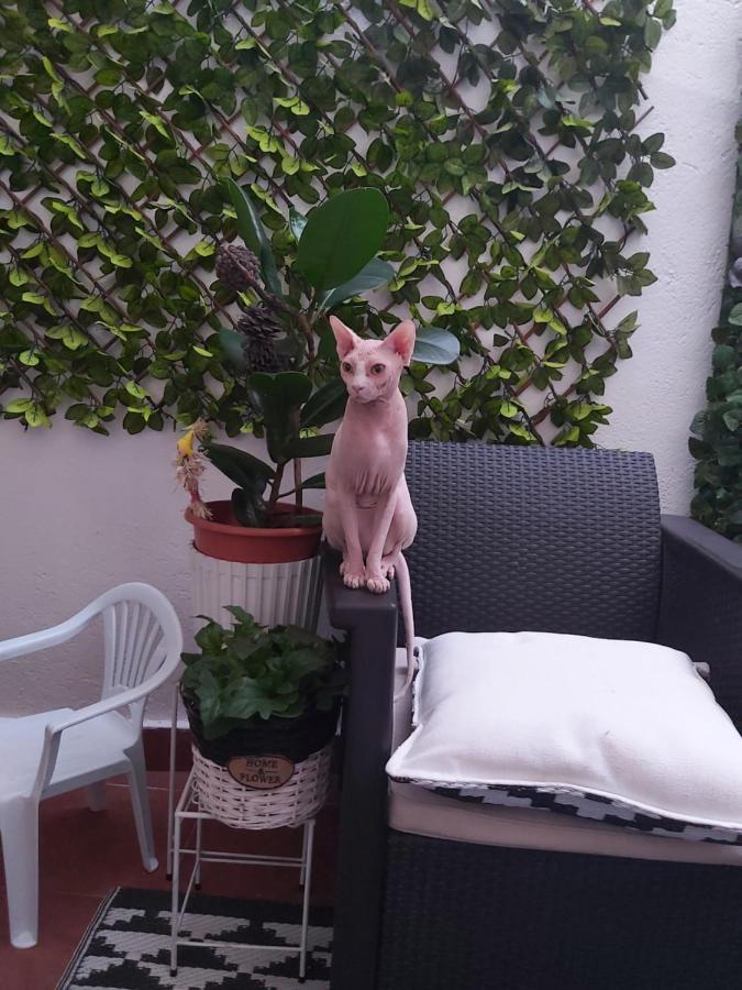 Casa De Ciss Apartment Мадрид Екстериор снимка