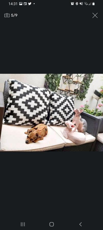 Casa De Ciss Apartment Мадрид Екстериор снимка