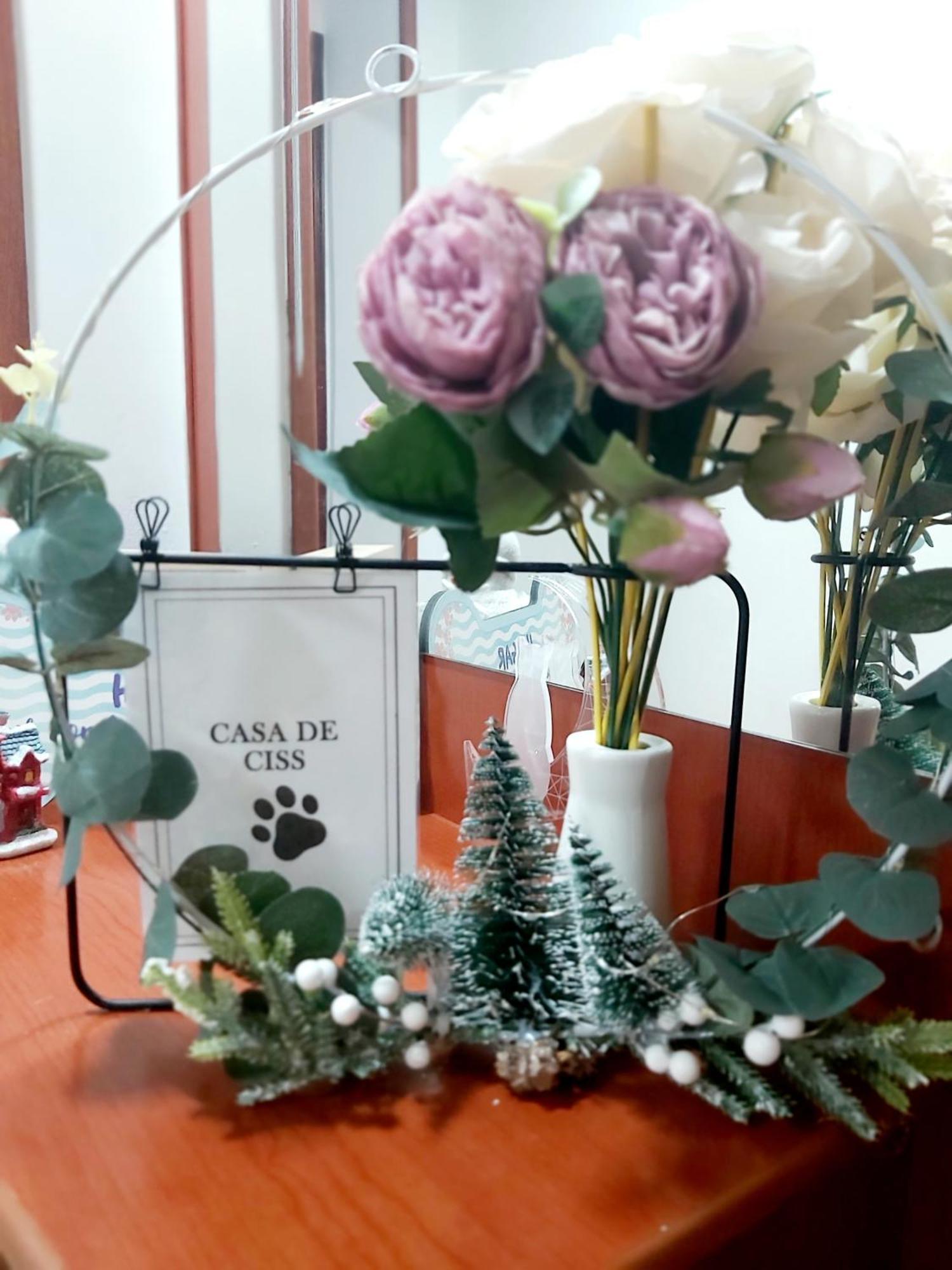 Casa De Ciss Apartment Мадрид Екстериор снимка