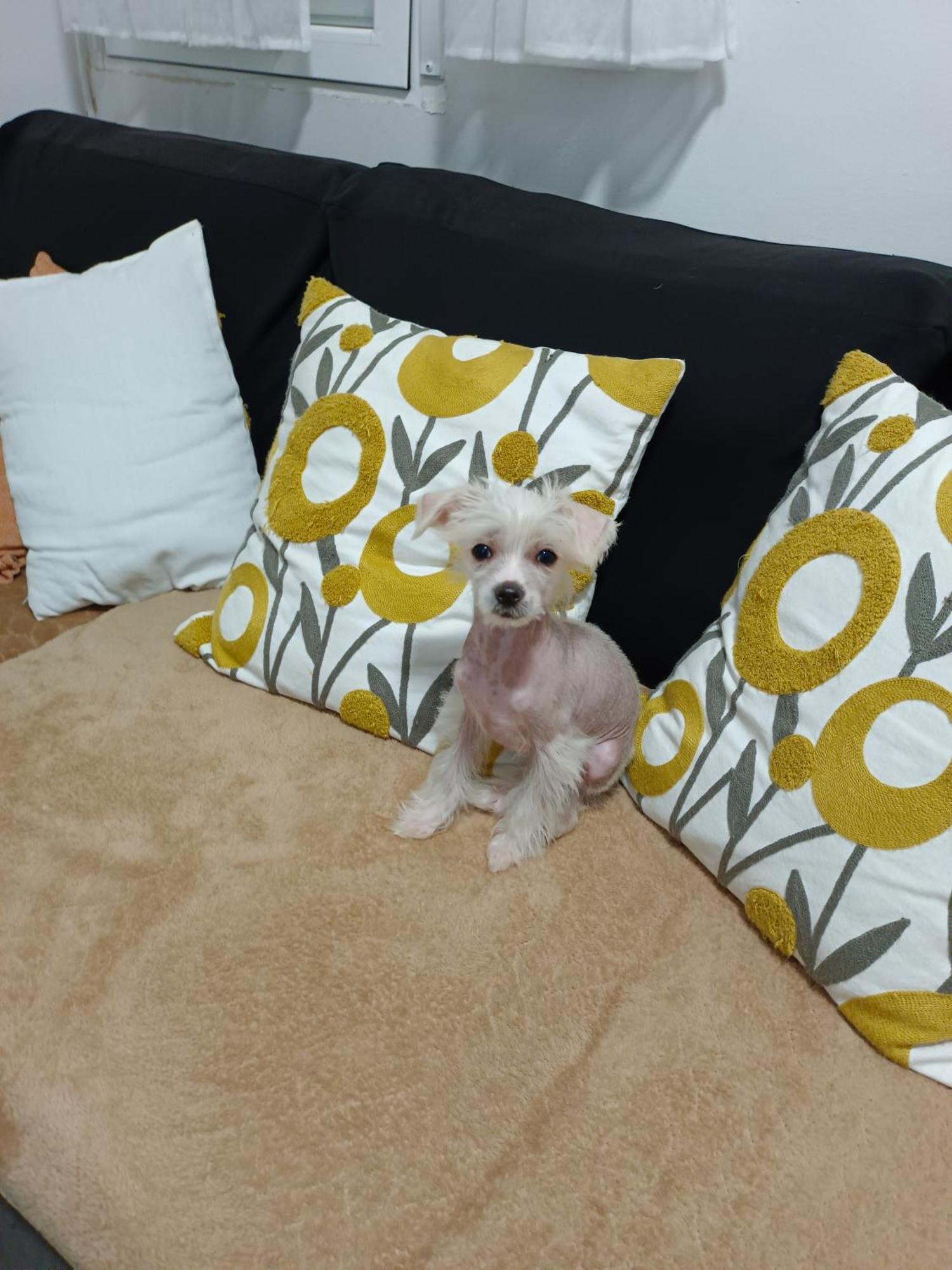 Casa De Ciss Apartment Мадрид Екстериор снимка